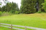 2014-07-05_Laengental-N-Hochweg (172). JPG